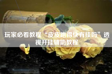 玩家必看教程“皮皮跑得快有挂吗	”透视开挂辅助教程