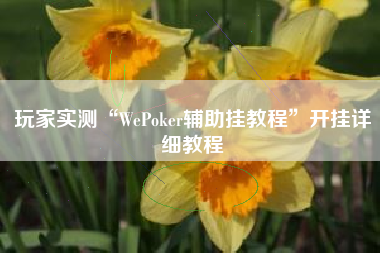 玩家实测“WePoker辅助挂教程”开挂详细教程