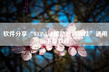 软件分享“WEPokeR辅助器透视挂”通用版下载教程!