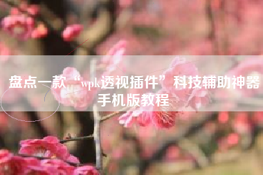 盘点一款“wpk透视插件	”科技辅助神器手机版教程