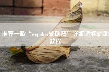 推荐一款“wepoker辅助器”详细透视辅助教程