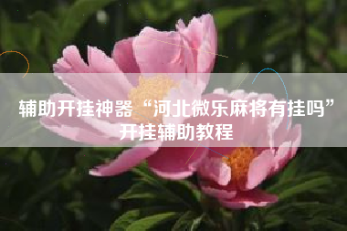 辅助开挂神器“河北微乐麻将有挂吗	”开挂辅助教程