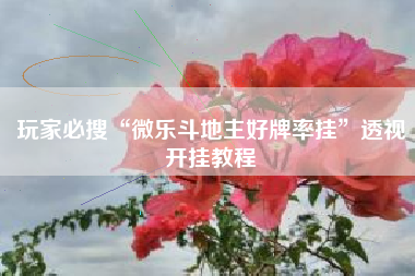 玩家必搜“微乐斗地主好牌率挂”透视开挂教程