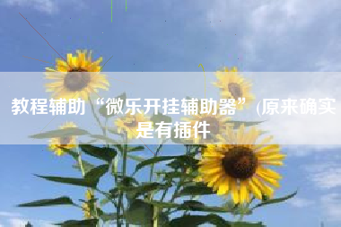 教程辅助“微乐开挂辅助器”(原来确实是有插件