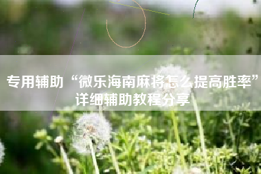 专用辅助“微乐海南麻将怎么提高胜率	”详细辅助教程分享