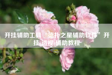 开挂辅助工具“德扑之星辅助软件”开挂(透视)辅助教程