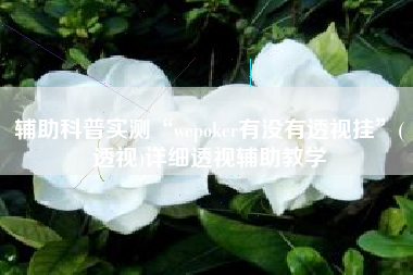 辅助科普实测“wepoker有没有透视挂”(透视)详细透视辅助教学