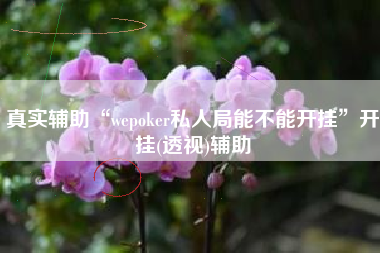 真实辅助“wepoker私人局能不能开挂	”开挂(透视)辅助