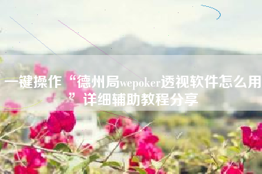 一键操作“德州局wepoker透视软件怎么用”详细辅助教程分享