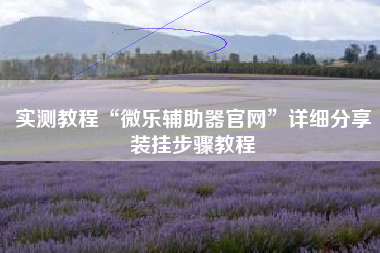 实测教程“微乐辅助器官网”详细分享装挂步骤教程