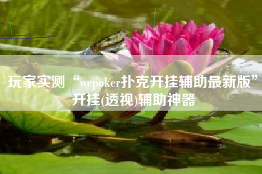 玩家实测“wepoker扑克开挂辅助最新版”开挂(透视)辅助神器