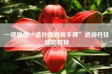 一键操作“德扑圈透视手牌”透视开挂辅助教程