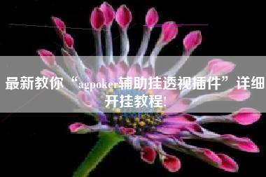最新教你“agpoker辅助挂透视插件”详细开挂教程!