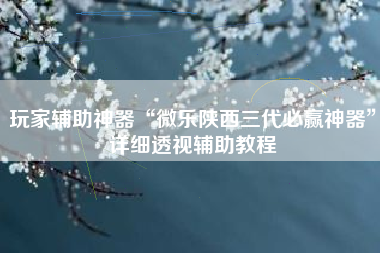 玩家辅助神器“微乐陕西三代必赢神器	”详细透视辅助教程