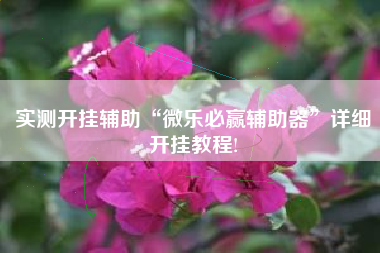 实测开挂辅助“微乐必赢辅助器	”详细开挂教程!