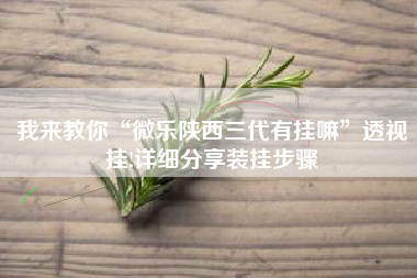 我来教你“微乐陕西三代有挂嘛”透视挂!详细分享装挂步骤