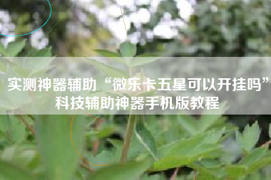 实测神器辅助“微乐卡五星可以开挂吗	”科技辅助神器手机版教程