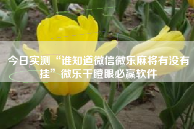 今日实测“谁知道微信微乐麻将有没有挂”微乐干瞪眼必赢软件