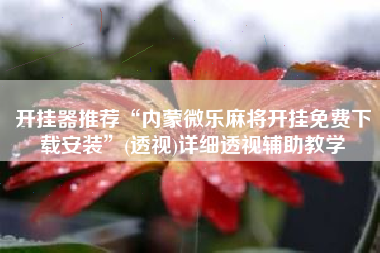 开挂器推荐“内蒙微乐麻将开挂免费下载安装”(透视)详细透视辅助教学