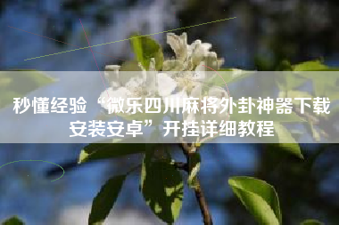 秒懂经验“微乐四川麻将外卦神器下载安装安卓”开挂详细教程