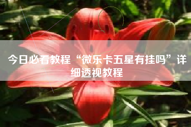 今日必看教程“微乐卡五星有挂吗	”详细透视教程