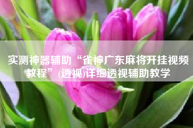 实测神器辅助“雀神广东麻将开挂视频教程	”(透视)详细透视辅助教学