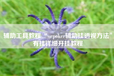 辅助工具教程“wepoker辅助挂透视方法	”有挂详细开挂教程