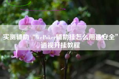 实测辅助“WePoker辅助挂怎么用最安全	”透视开挂教程