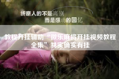 教程开挂辅助“微乐麻将开挂视频教程全集	”其实确实有挂