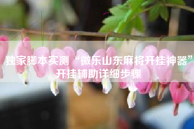 独家脚本实测“微乐山东麻将开挂神器	”开挂辅助详细步骤