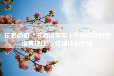 玩家必知“玉海楼茶苑十三张抓好牌有没有规律	”(详细透视教程)