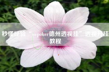 秒懂经验“wepoker德州透视挂”透视开挂教程