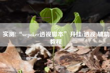 实测!“wepoker透视脚本”开挂(透视)辅助教程