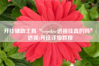 开挂辅助工具“wrpoker透视挂真的吗”(透视)开挂详细教程