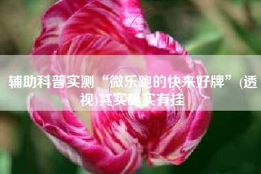 辅助科普实测“微乐跑的快来好牌	”(透视)其实确实有挂