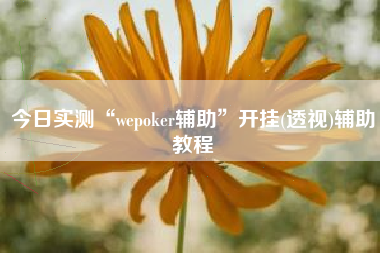 今日实测“wepoker辅助”开挂(透视)辅助教程