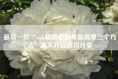 最新一款“wpk辅助会封号最简单三个方法	”真实开挂技巧分享
