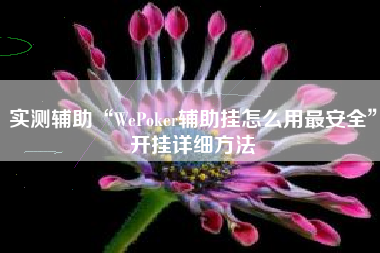 实测辅助“WePoker辅助挂怎么用最安全	”开挂详细方法