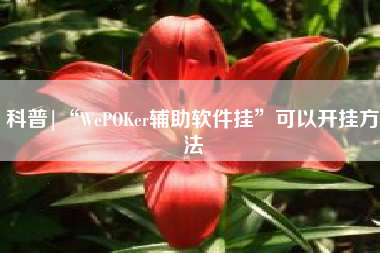 科普|“WePOKer辅助软件挂	”可以开挂方法