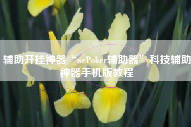 辅助开挂神器“wePoker辅助器”科技辅助神器手机版教程
