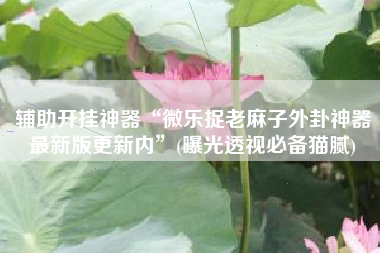 辅助开挂神器“微乐捉老麻子外卦神器最新版更新内	”(曝光透视必备猫腻)