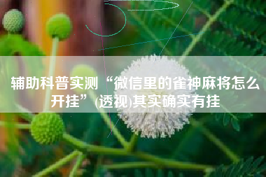 辅助科普实测“微信里的雀神麻将怎么开挂”(透视)其实确实有挂