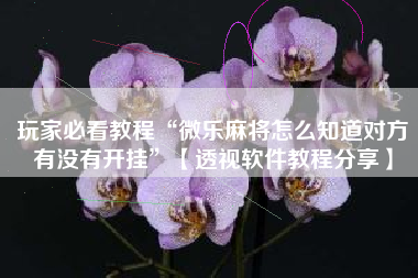 玩家必看教程“微乐麻将怎么知道对方有没有开挂	”【透视软件教程分享】