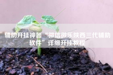 辅助开挂神器“微信微乐陕西三代辅助软件”详细开挂教程