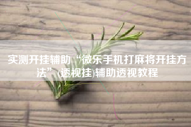 实测开挂辅助“微乐手机打麻将开挂方法”(透视挂)辅助透视教程