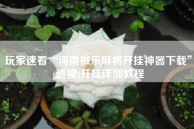 玩家速看“河南微乐麻将开挂神器下载”(透视)开挂详细教程