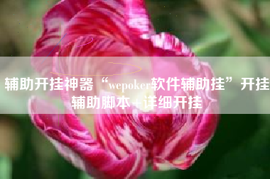 辅助开挂神器“wepoker软件辅助挂”开挂辅助脚本+详细开挂