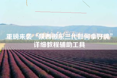 重磅来袭“陕西微乐三代如何拿好牌”详细教程辅助工具
