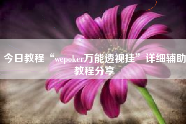 今日教程“wepoker万能透视挂	”详细辅助教程分享