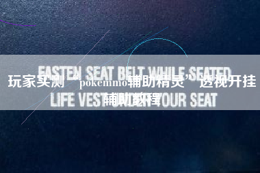 玩家实测“pokemmo辅助精灵	”透视开挂辅助教程